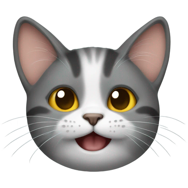Cat thumb up  emoji
