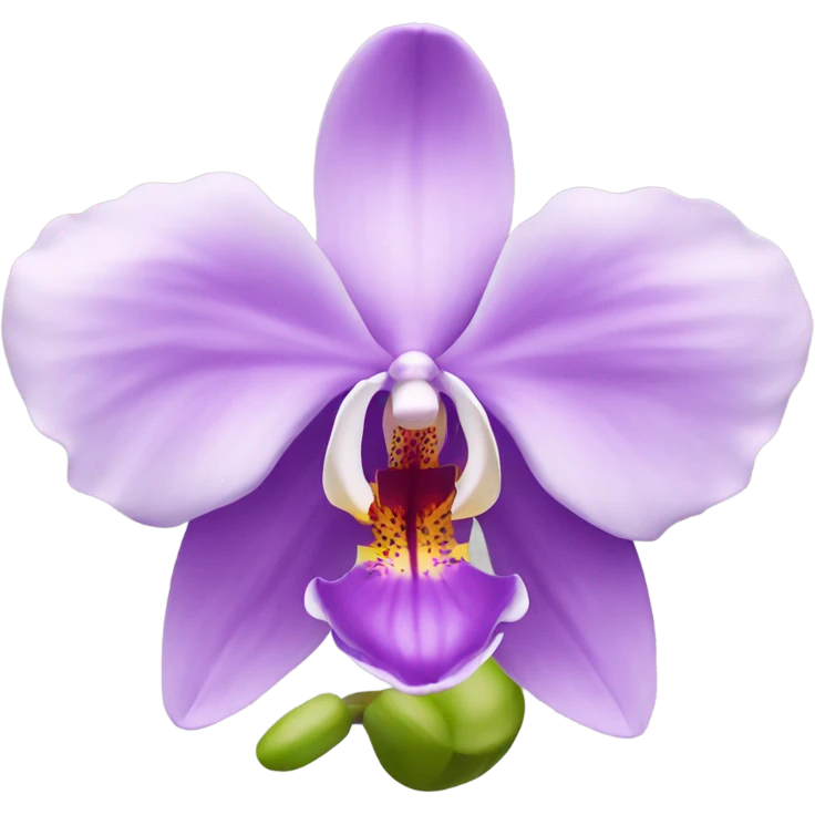 Orchid flower emoji