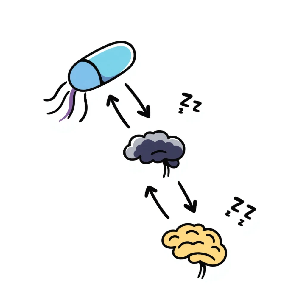Hand-drawn sedative medication concept: blue pill releasing purple calming waves toward a yellow brain that's gradually turning dark blue (sleeping). Small ZZZ sleep icons floating above. Simple diagram with arrows showing sedative pathway from pill to sleep state. emoji