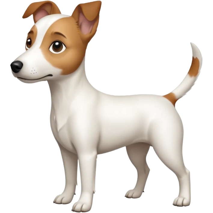 a full body white jack russel looking dog the size of a kelpie with light brown ears and a light brown patch on one eye, flopped down ears and a large snout emoji