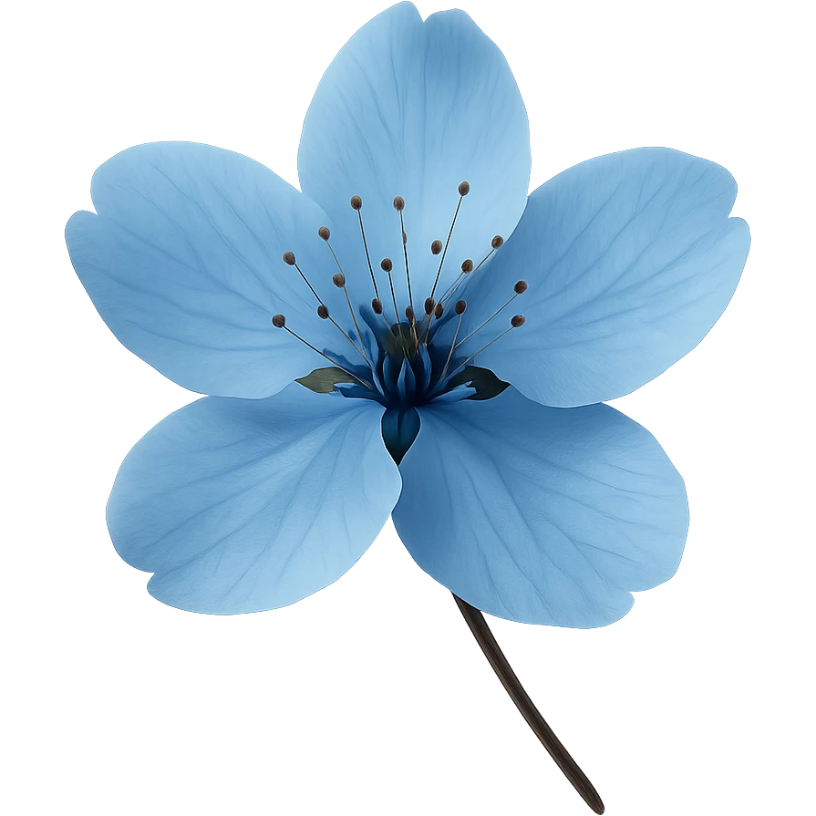 show one blue cherry blossom, remove background emoji