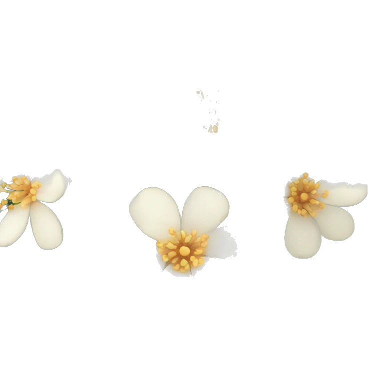 Iphone emoji Ashwagandha flowers emoji