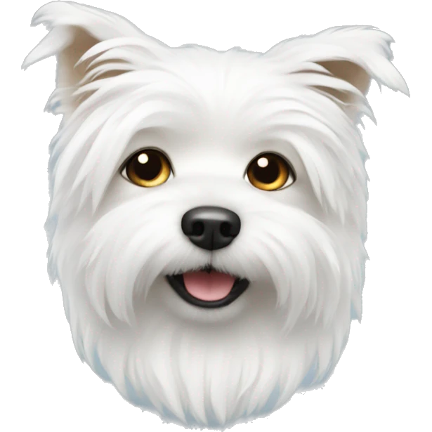 white fluffy small dog emoji