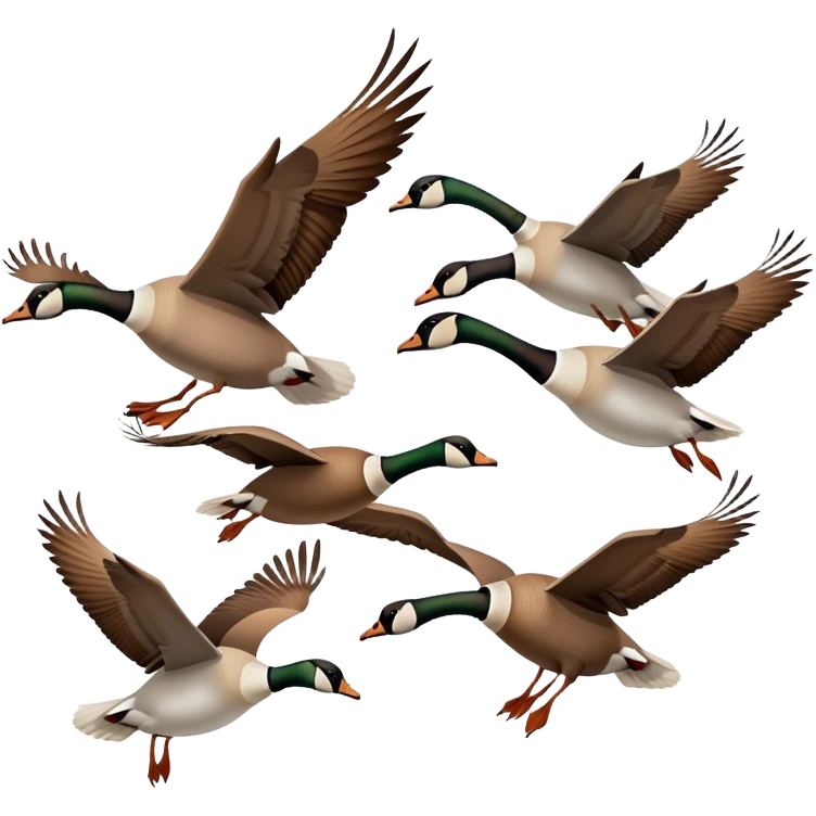 small Canadian geese flying in a classic V formation, lead goose at the right, easily identifiable as Canadian geese, for encouragement emoji