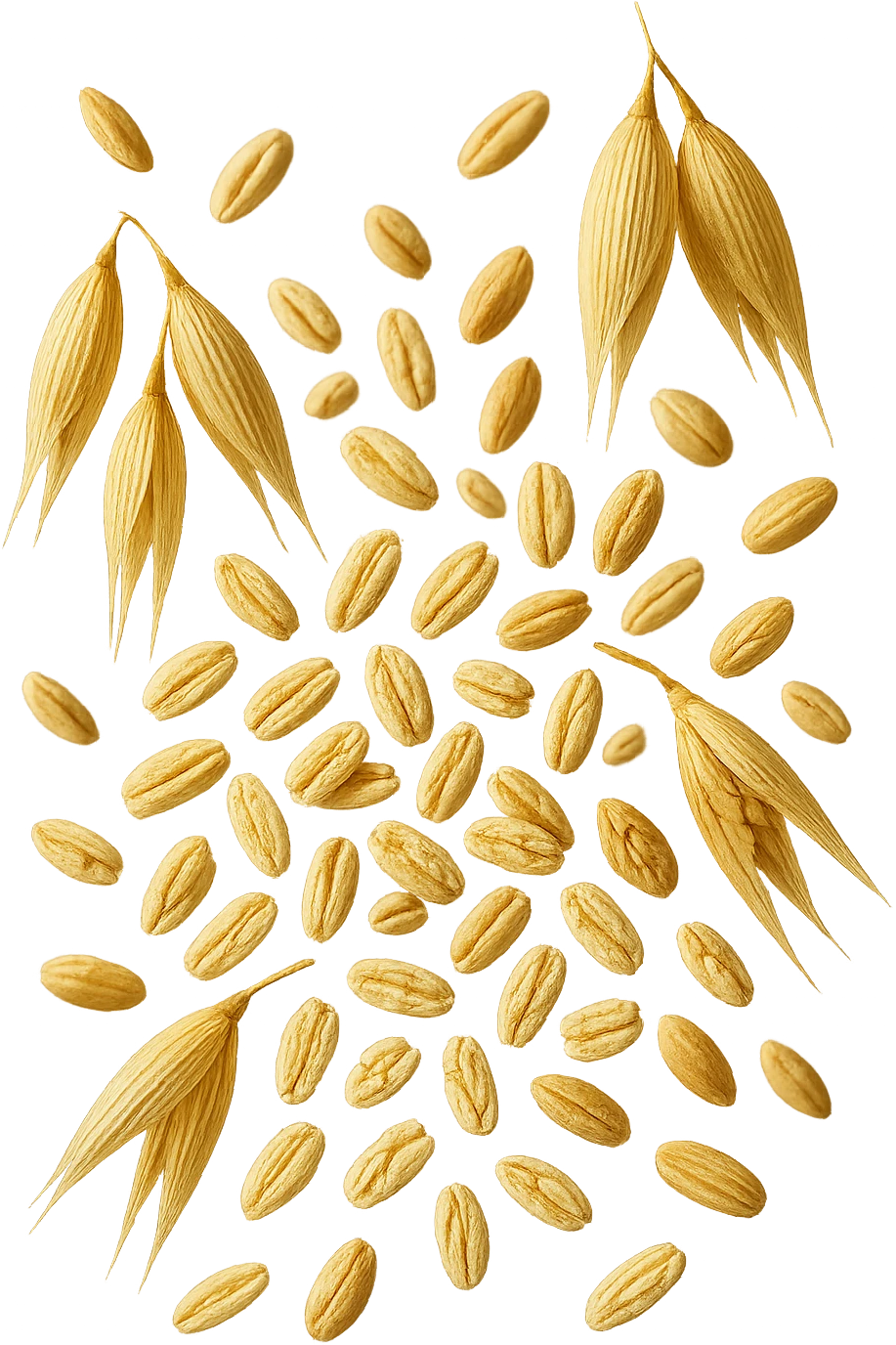 Avena e orzo FLUTTUANO IN ARIA, iperrealistico 4k emoji