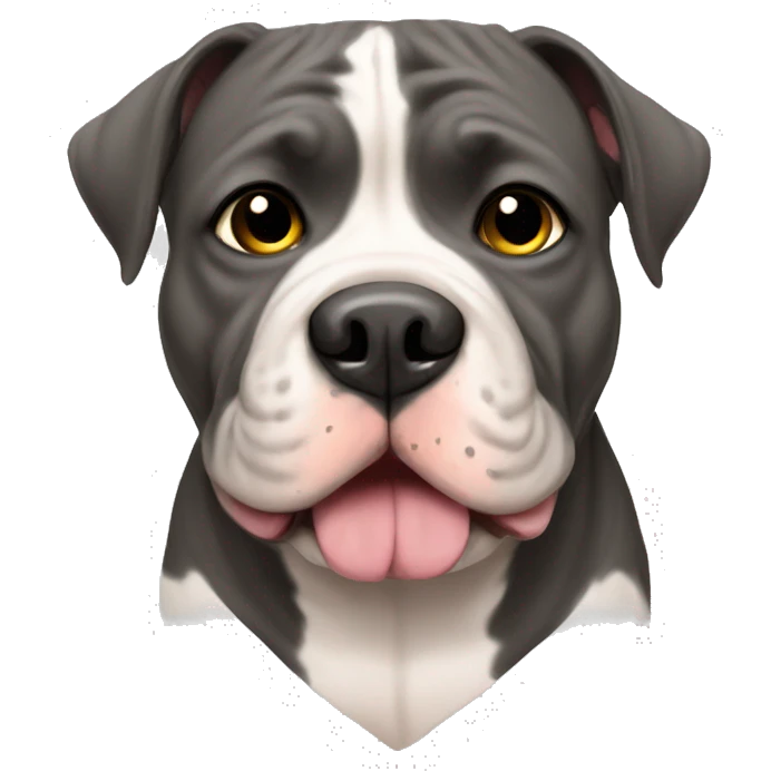 American bully cute dog  emoji