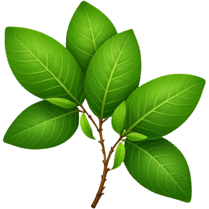 Guava leaves from the guava plant emoji