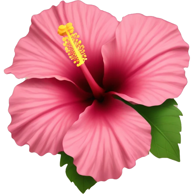 hibiscus flower emoji