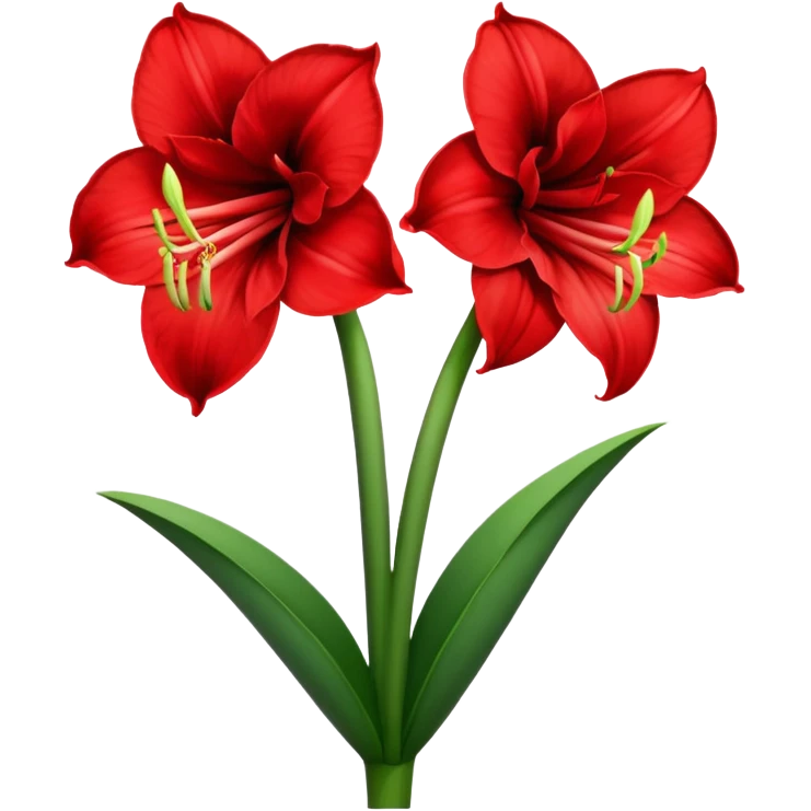 amaryllis emoji