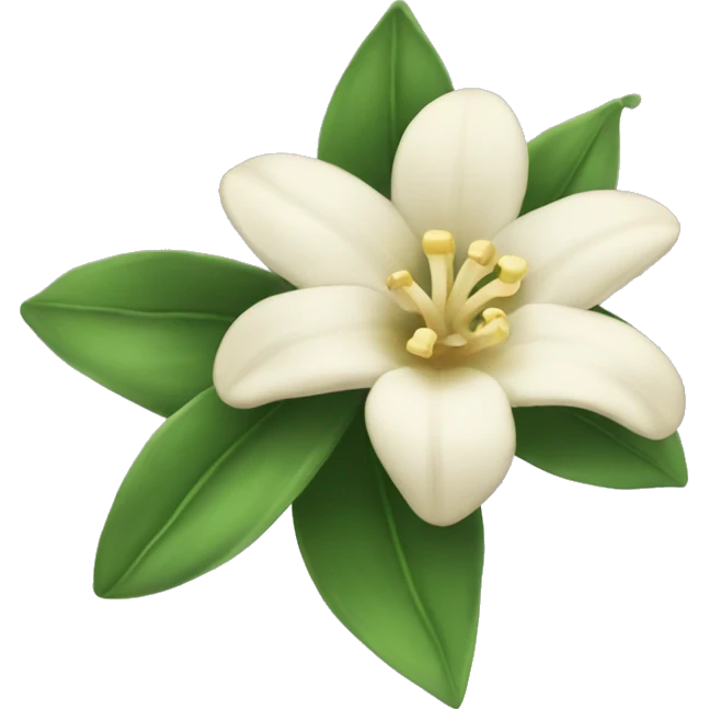 vanilla flower  emoji