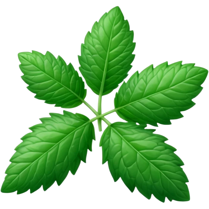 Peppermint (Mentha \(\times \) piperita)  emoji