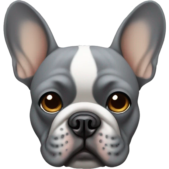 Grey french bulldog face with tan circular eyebrows emoji