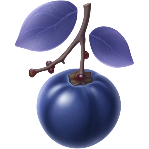 Blueberries  emoji