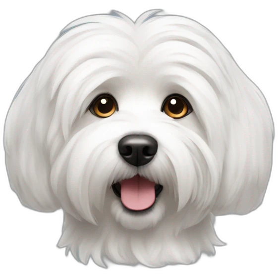 Coton de tulear emoji