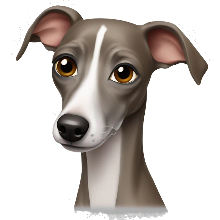 Italian greyhound emoji