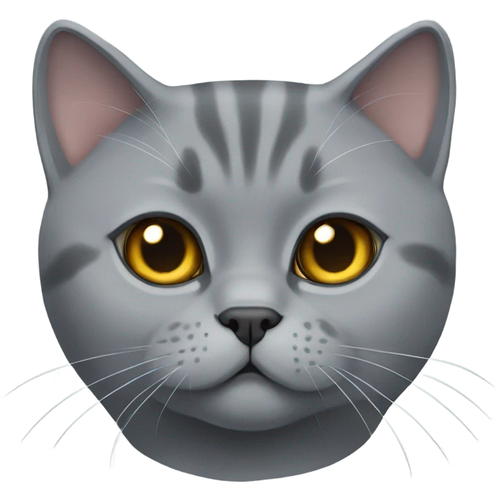 Gray British shorthair cat  emoji