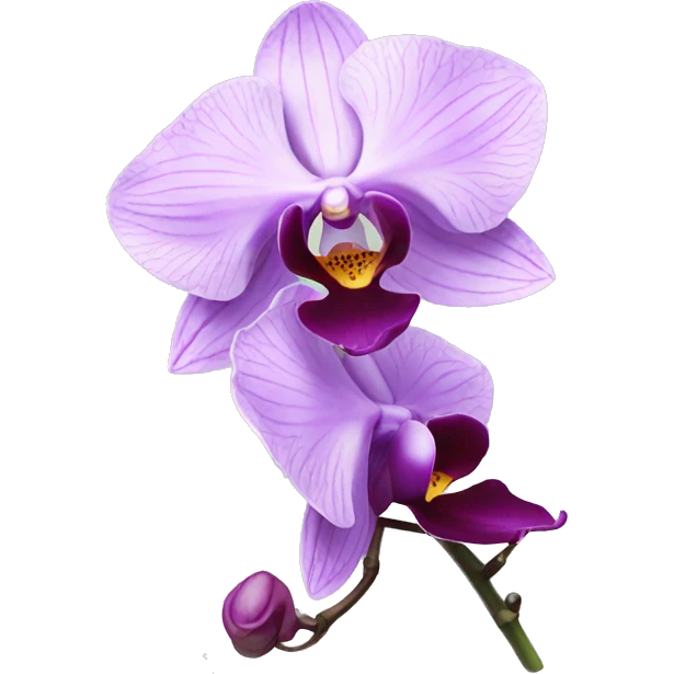 Orchid  emoji