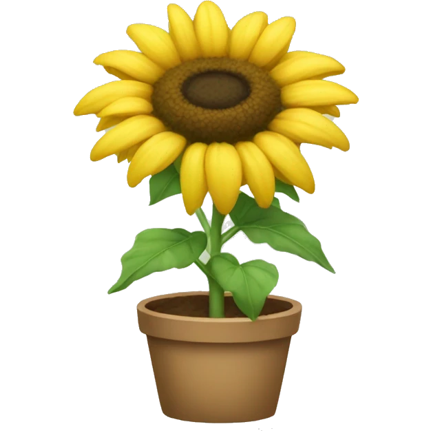 plant little sunflower emoji