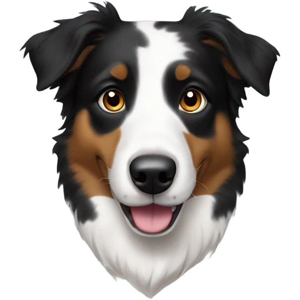 A black and white australian shepperd emoji
