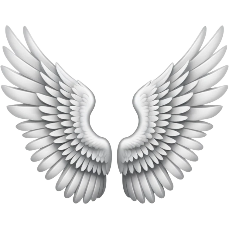Pair of wings emoji