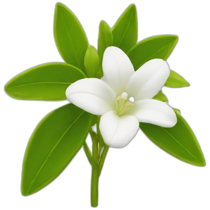  jasminum Flower emoji