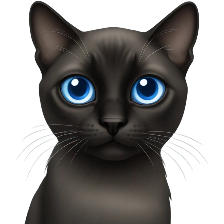 Black Siamese cat blue eyes long haired emoji