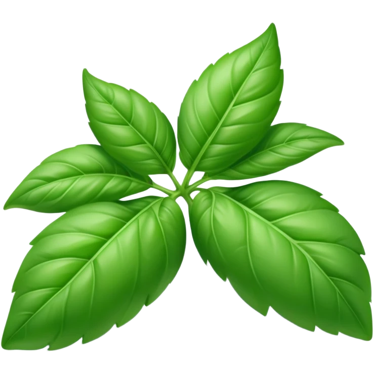 Fresh green basil herb leaf emoji