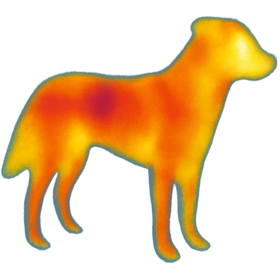 a dog emoji