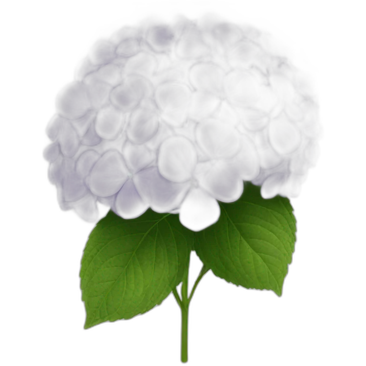 hydrangea emoji