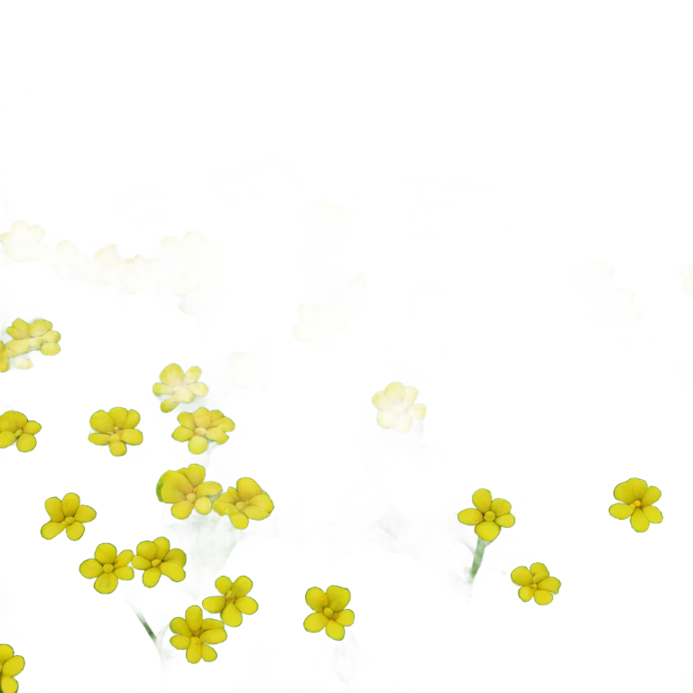 Sundax covercrop  emoji
