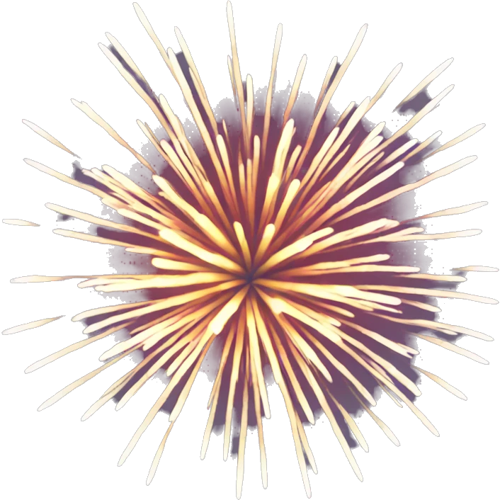 firework emoji