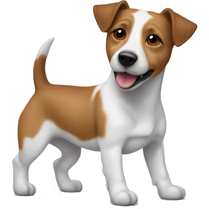 a jack russel with a teddy bear emoji