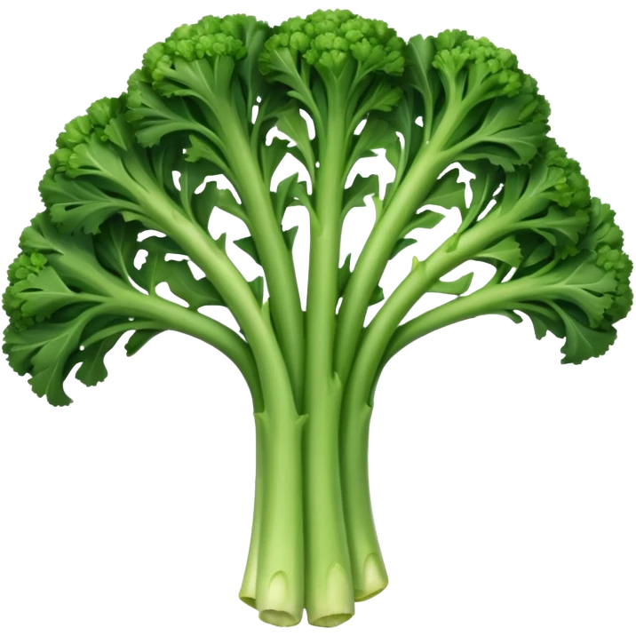 a long slender bunch of green broccolini emoji