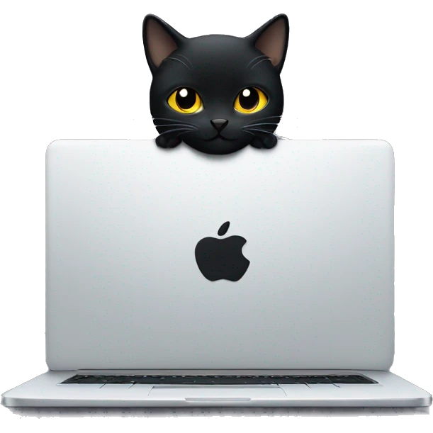a black starry cat programming on a laptop. emoji