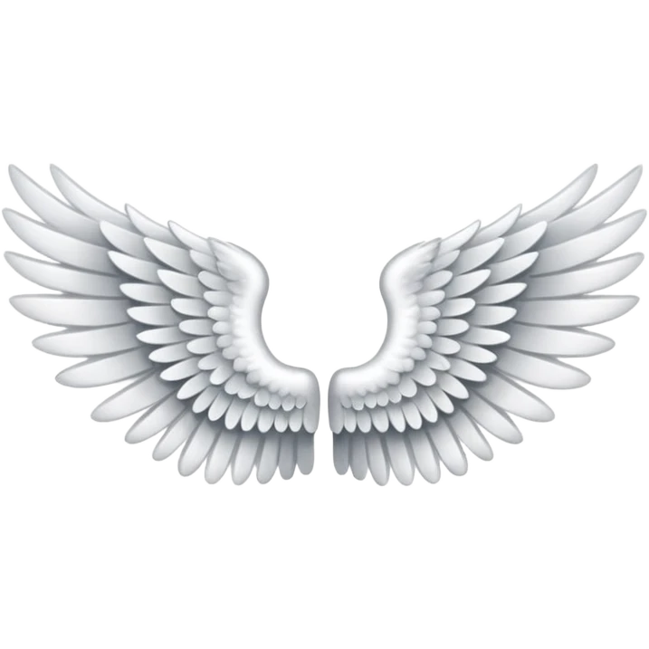 Pair of wings emoji