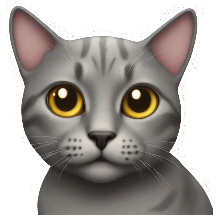 camera love cat emoji