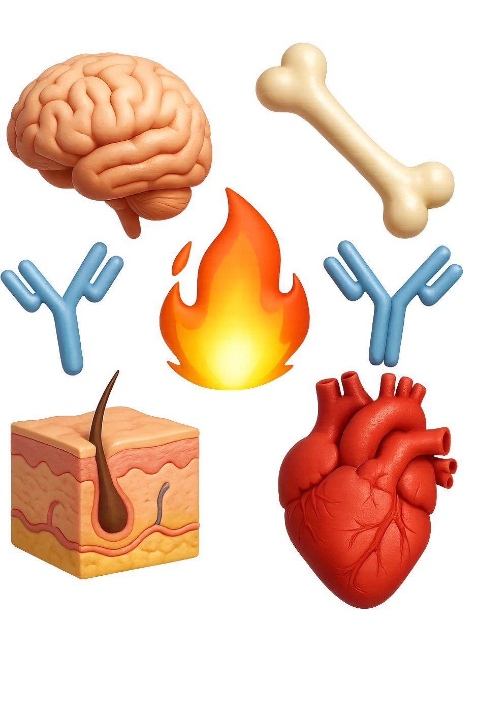 EMOJI STILE IPHONE 3D DI cervello, ossa, cuore, porzione di epidermide e cellule di anticorpi che girano in tondo, al centro di questi elementi c'è una fiamma 3d  FALLO MOLTO REALISTICO IN 3D emoji