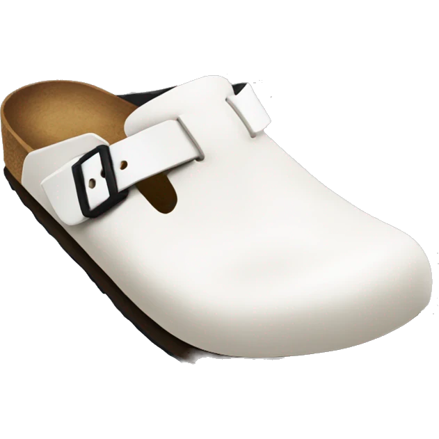 Birkenstock boston clog emoji