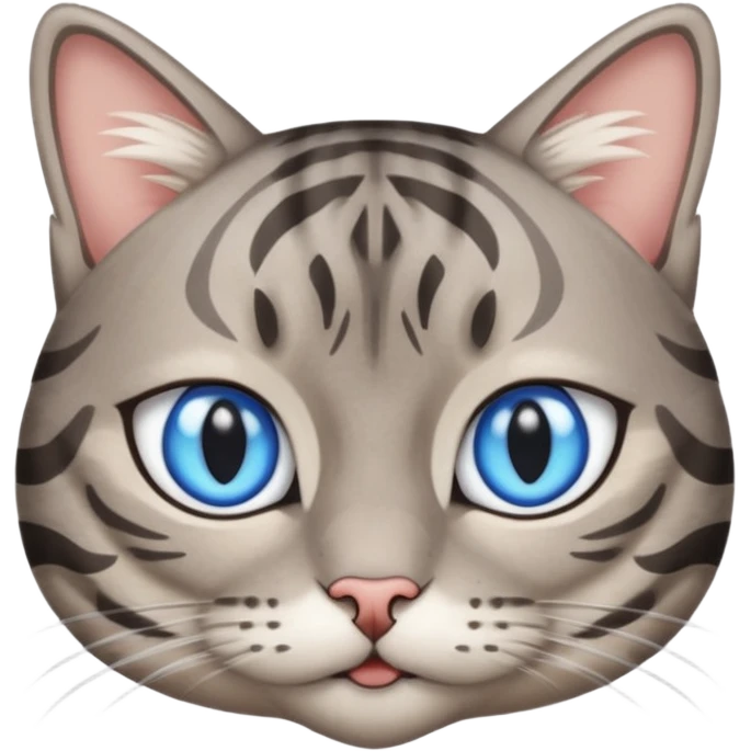 Un gato atigrado gris ojos azules ralla entre los ojos en forma de M y dos rallas en el exterior de los ojos emoji