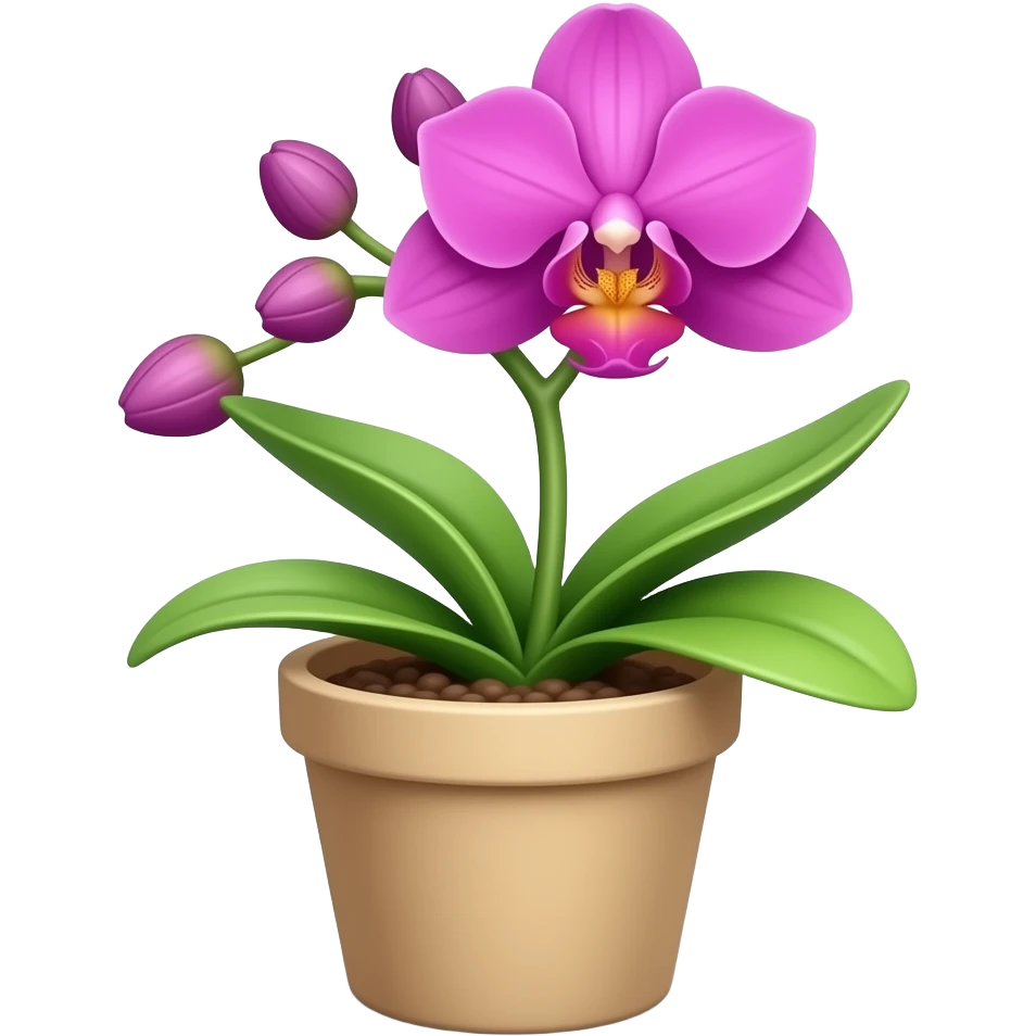 orchid in a pot emoji