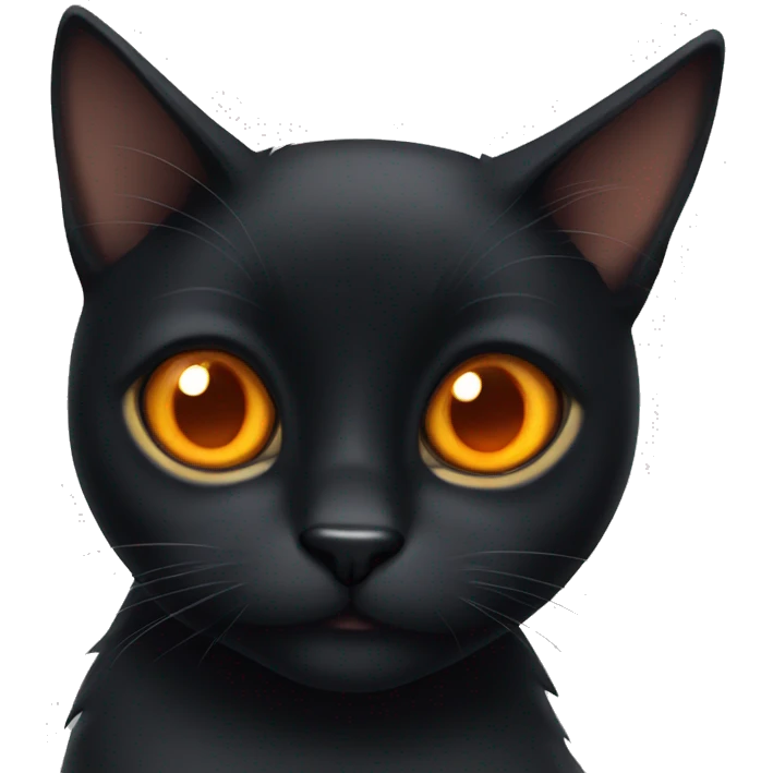 Black cat with orange eyes  emoji