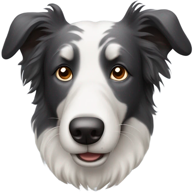 A old boarder collie dog emoji