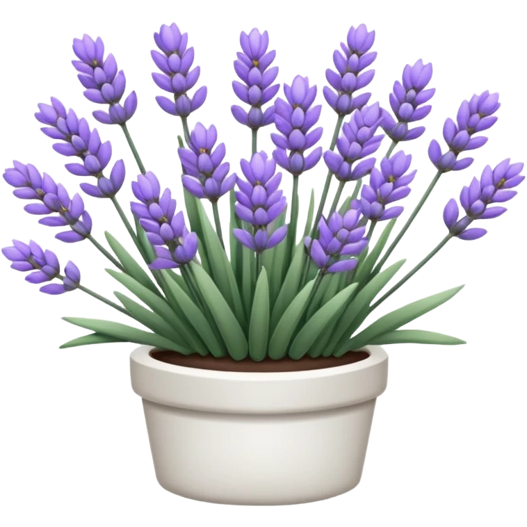White lavender  emoji