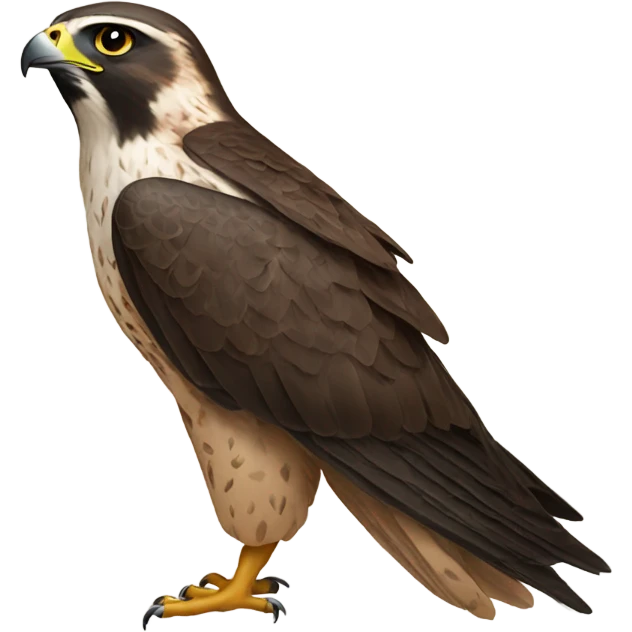 Falcon emoji