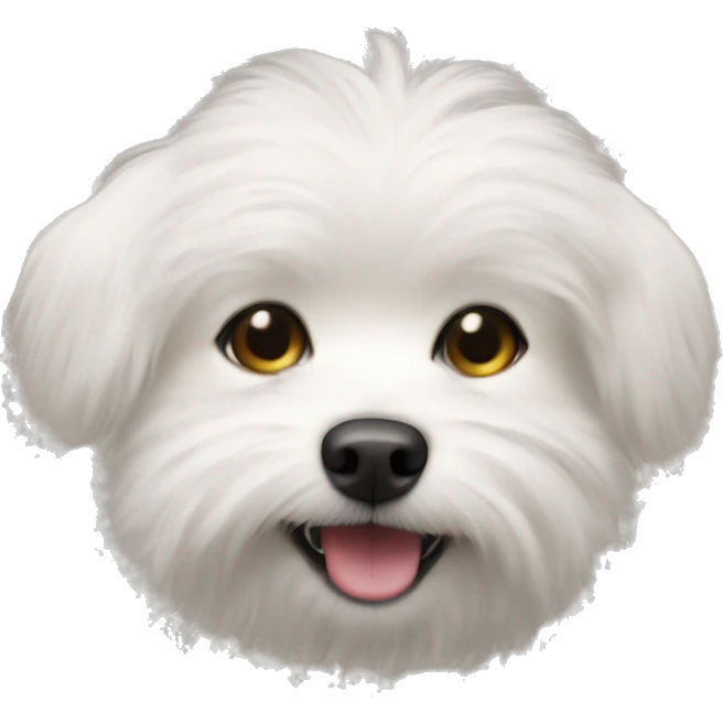 A tiny white dog with lots of fur emoji