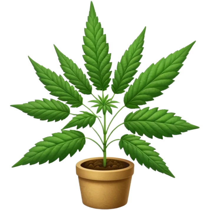 Cannabis emoji