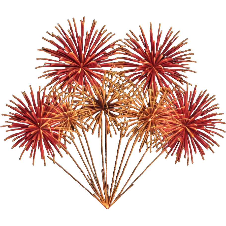 IShowSpeed celebrating with fireworks emoji