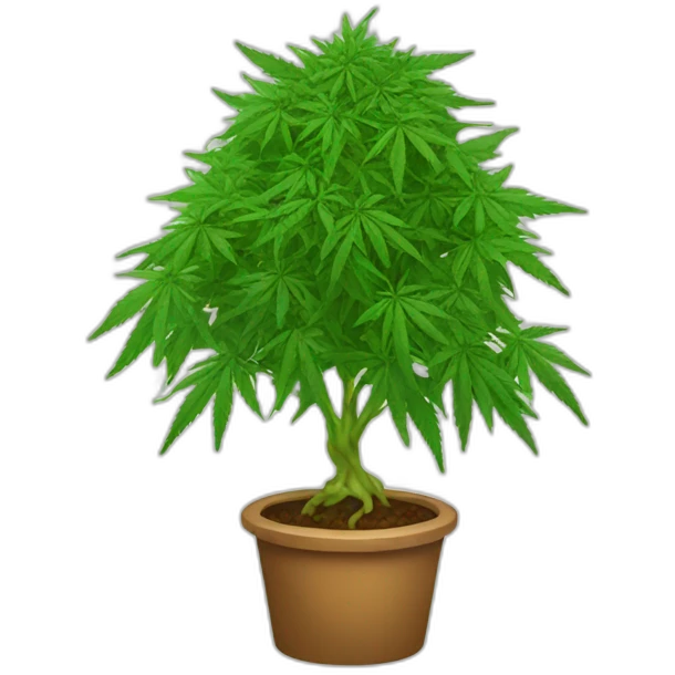 Cannabis tree emoji