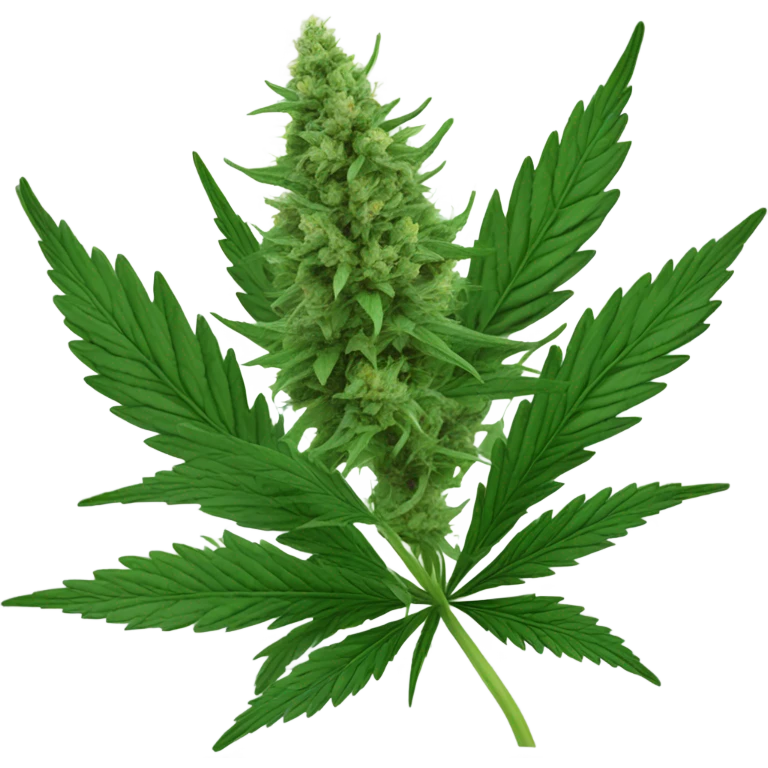 annabis plant  emoji