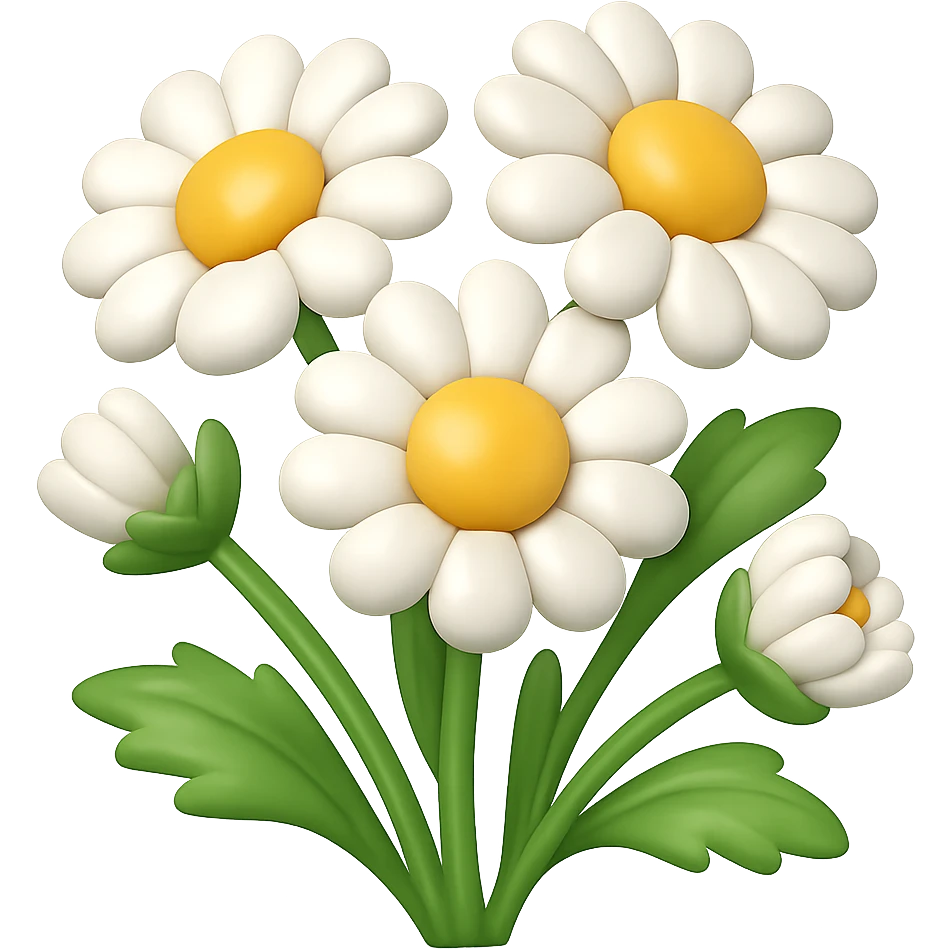 Create a 3D illustration of daisies in the style of iOS Apple emojis, featuring voluminous petals and yellow centers, on a transparent background. The style should reflect the characteristic look of Apple emojis with a polished and dimensional appearance. emoji